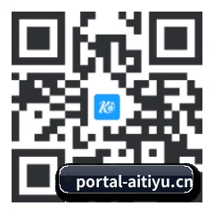系统版 iOS 二维码