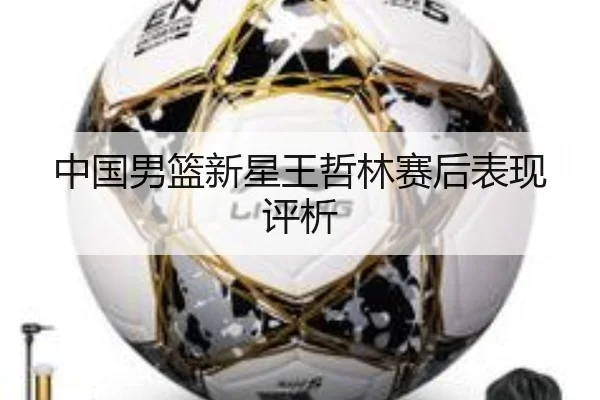中国男篮新星王哲林赛后表现评析